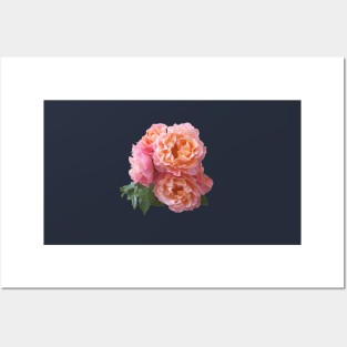 Pink Rose Bouquet in a terracotta vase Posters and Art